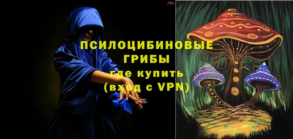 тгк Алексин