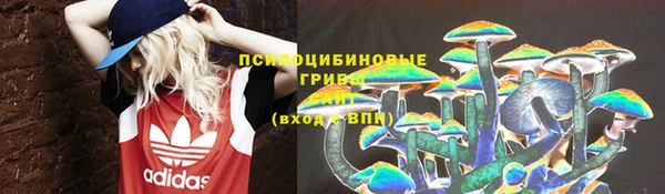 тгк Алексин