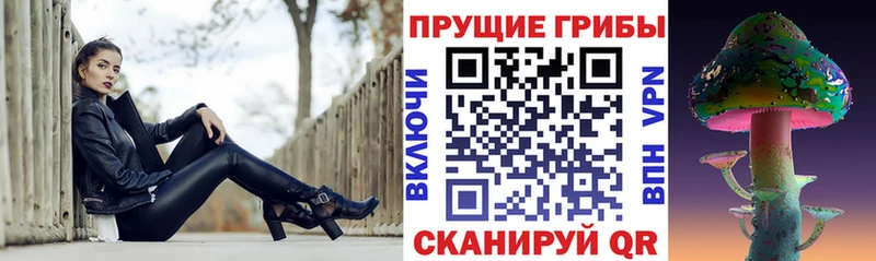 Псилоцибиновые грибы Psilocybe  Клин 
